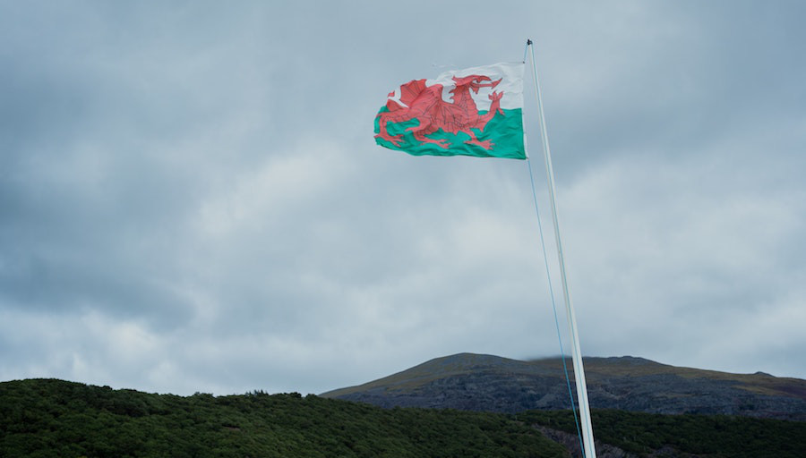 Briefing on Gender Identity in Wales